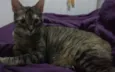 Naninha