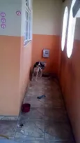 DUQUE