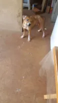 MARLEY