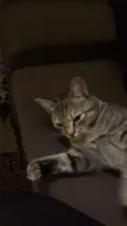 (Safira) nós que de