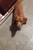 Fred