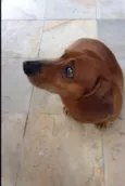 Fred
