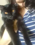 Edgar