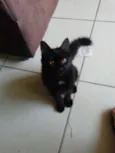 Edgar