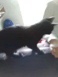 Edgar