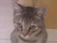 (Safira) nós que de