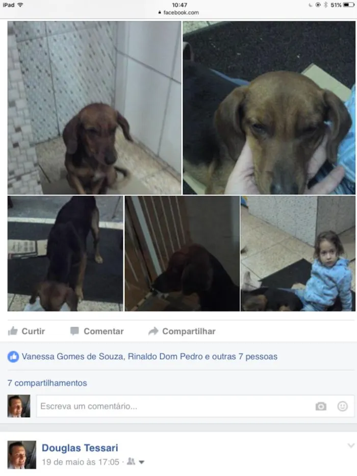 Cachorro ra a Mistura beagle com bace idade 2 anos nome Bob
