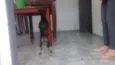 Hanna e junior