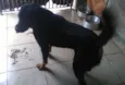 ROTT