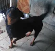 ROTT
