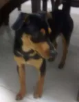 Ainda nao tem