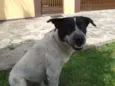 Manolo