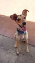 Bella