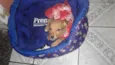 Babaloo