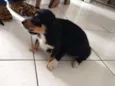 Gorda e Princesa