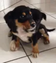 Gorda e Princesa