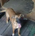 Meg