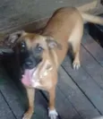 Meg