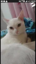 Billy