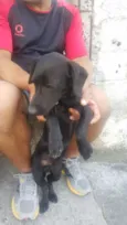 Não tem nome 