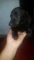 Não tem nome 