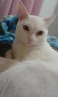 Billy