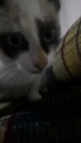 Lili e Mia