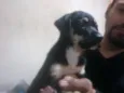 MADONA