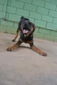 NICE, Bebezinha!