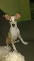 Lua