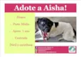 Aisha
