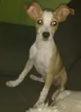 Lua