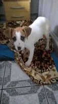 Mel