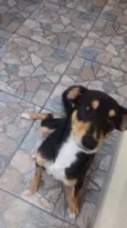 Bolinha