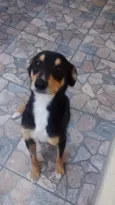Bolinha