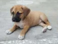 AMY