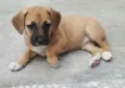 AMY
