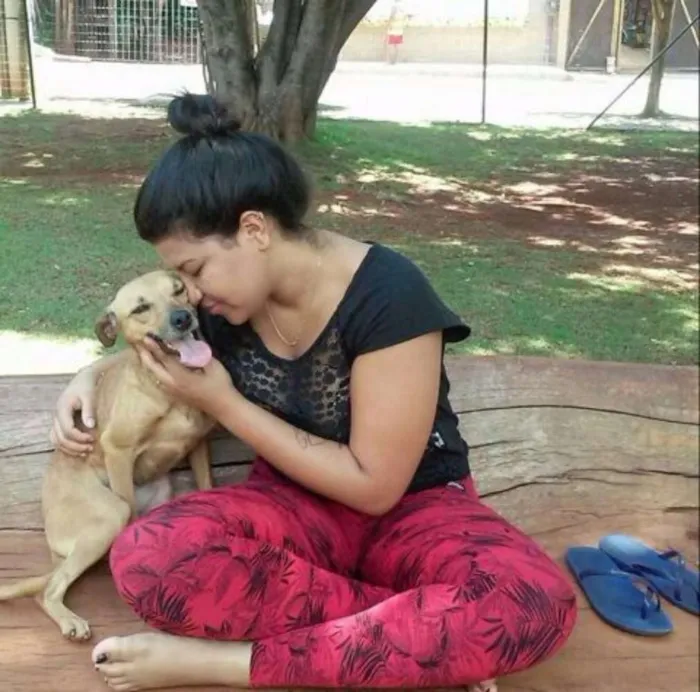 Cachorro raça Sem raça definida idade 4 anos nome Melissa / mel 
