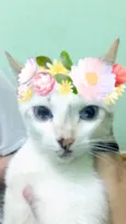 Mimi