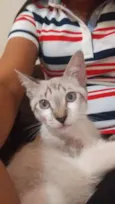 Mia e graxinha