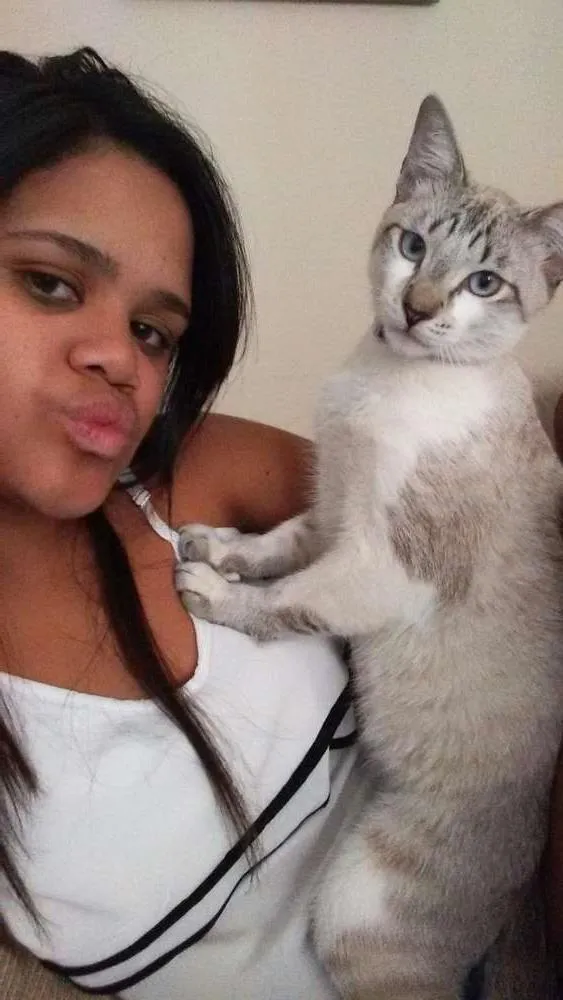 Gato ra a  idade 7 a 11 meses nome Saimon
