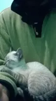 Axl