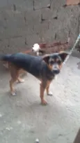 tayson