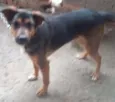 tayson