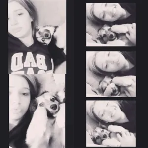 Cachorro raça vira lata idade 1 ano nome sem nome