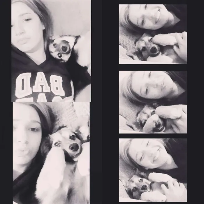 Cachorro ra a vira lata idade 1 ano nome sem nome