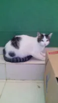 a sua escolha