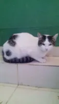 a sua escolha