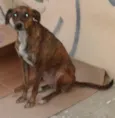 Fiona
