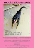 Preta